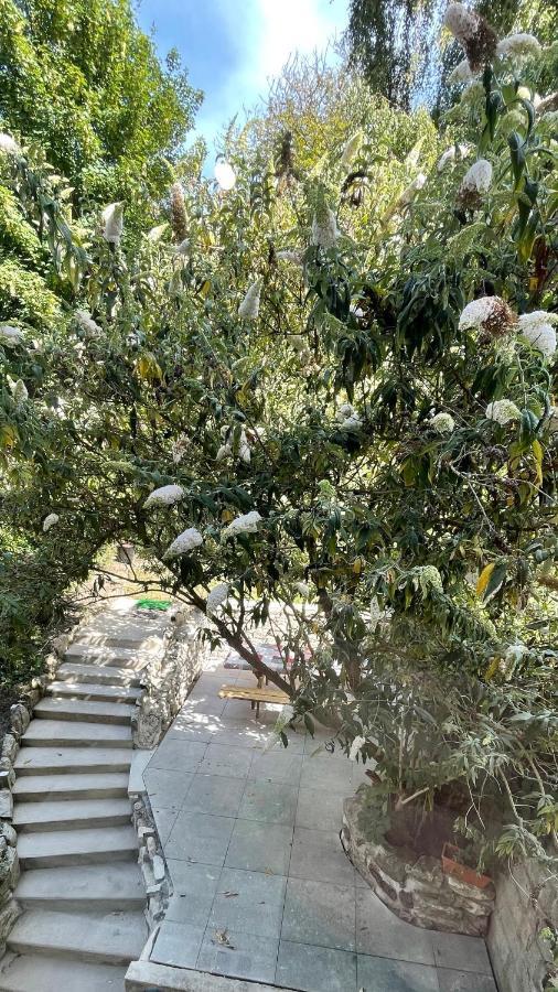 Au Jardin De La Basilique Leilighet Boulogne-sur-Mer Eksteriør bilde