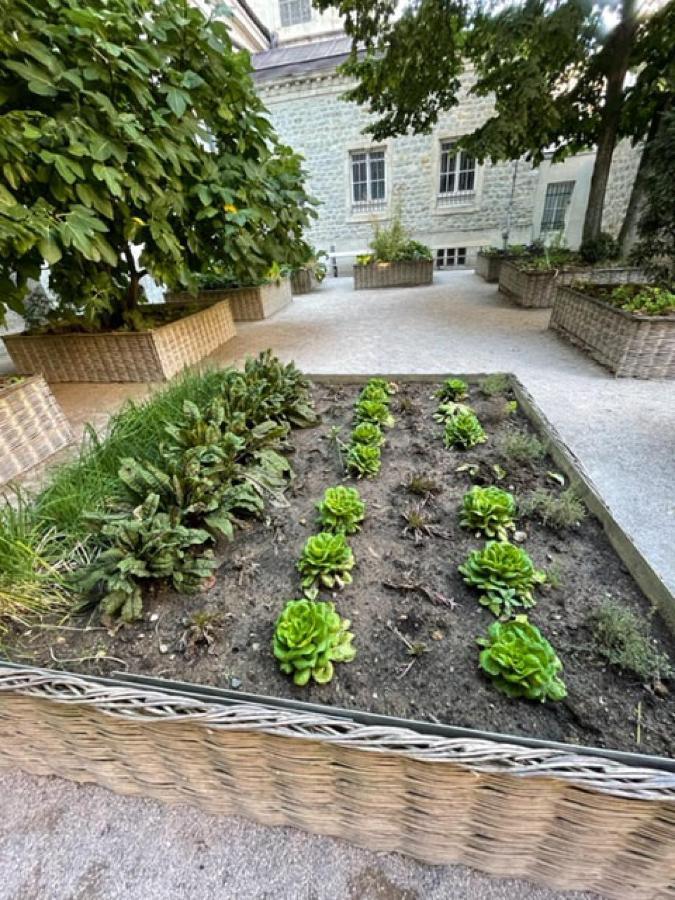 Au Jardin De La Basilique Leilighet Boulogne-sur-Mer Eksteriør bilde